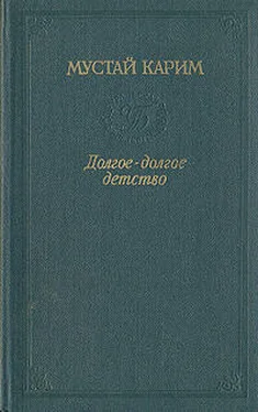 Мустай Карим Долгое-долгое детство обложка книги