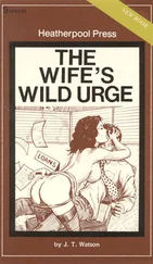 J Watson - The wife_s wild urge