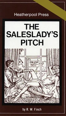 R Finch The saleslady_s pitch обложка книги