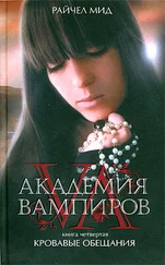 Райчел Мид - Кровавые обещания