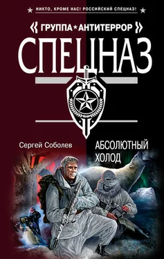 Сергей Соболев Абсолютный холод обложка книги