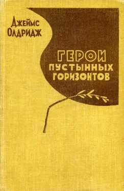 Джеймс Олдридж Герои пустынных горизонтов обложка книги