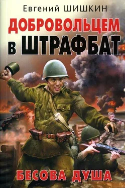 Евгений Шишкин Добровольцем в штрафбат. Бесова душа обложка книги