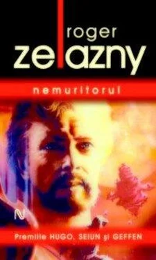 Roger Zelazny Nemuritorul обложка книги