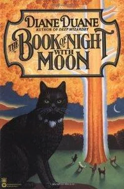 Diane Duane The Book of Night with Moon обложка книги