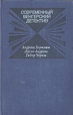 Андраш Беркеши Современный венгерский детектив обложка книги