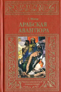 Талбот Мэнди Арабская авантюра обложка книги