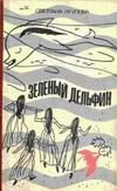 Светлана Ягупова Зеленый дельфин обложка книги