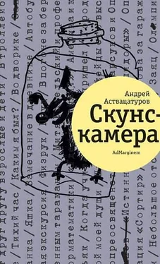 Андрей Аствацатуров Скунскамера обложка книги