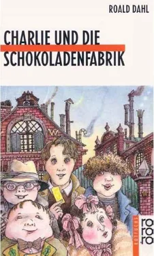 Roald Dahl Charlie und die Schokoladenfabrik