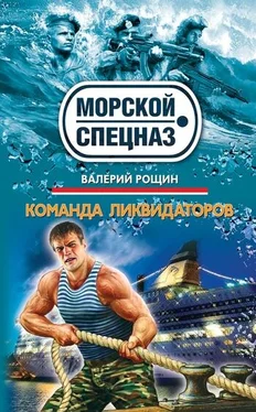 Валерий Рощин Команда ликвидаторов обложка книги