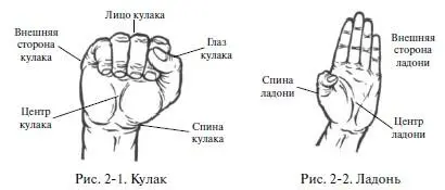 в Крюк Создание позы Кончики пальцев собирают пучок кисть с силой - фото 13