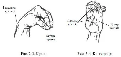 2 Когти дракона Создание позы Вытянуть сжатые вместе 4 пальца большой - фото 14