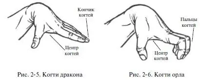д Пальцы 1 Пальцы змея Создание позы После естественного раскрытия - фото 15