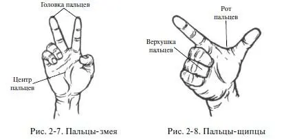 Б Различающиеся моменты Южный кулак а Отдельный палец Создание позы - фото 16
