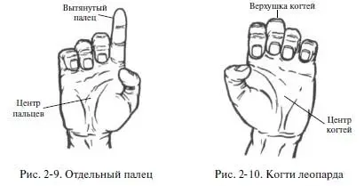 б Когти леопарда Создание позы После естественного раскрытия пяти - фото 17