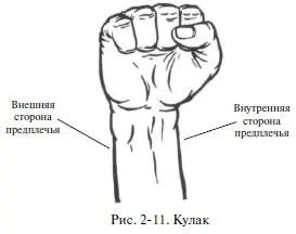 На тренировках руки должны овладеть основами техники способов для кулака - фото 18
