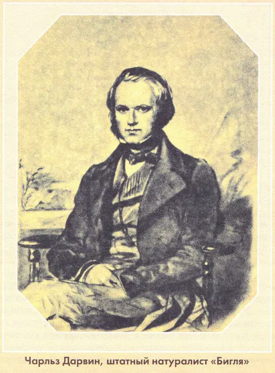 В 1859 г Дарвину было 50 лет и на большинстве широко известных портретов - фото 2