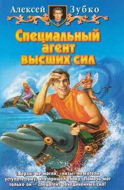 Алексей Зубко Специальный агент высших сил обложка книги