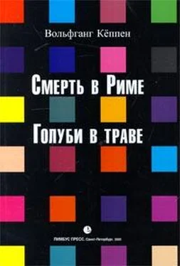 Вольфганг Кеппен Голуби в траве обложка книги