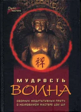 Павел Федотов Мудрость воина. Сборник медитативных притч обложка книги