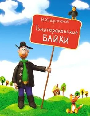 Валерий Нариманов Тьмутараканские байки обложка книги