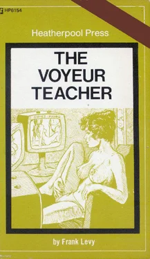 Frank Levy The voyeur teacher обложка книги