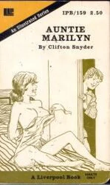 Clifton Snyder Auntie Marilyn обложка книги