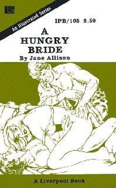 Jane Allison A hungry bride обложка книги