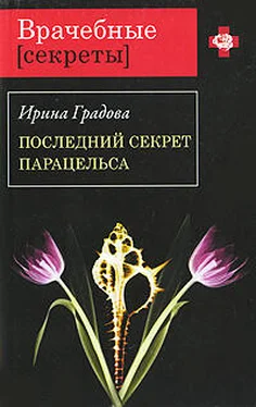 Ирина Градова Последний секрет Парацельса обложка книги