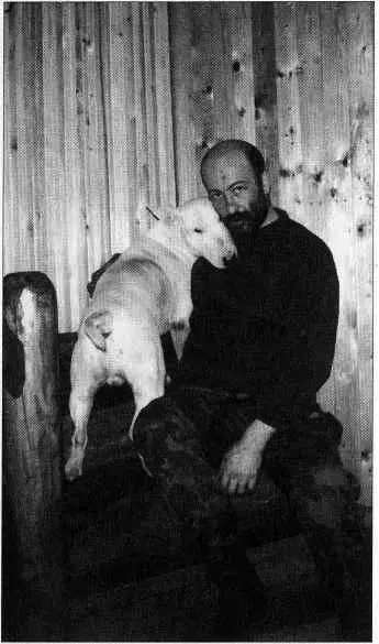 На даче с членом семьи бультерьером Лаки Мы с ним бойцы Езжу на - фото 13