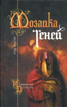 Том Харпер Мозаика теней обложка книги