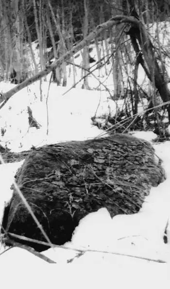 Действительно предания связанные с Киндяковским камнем достаточно типичны - фото 8