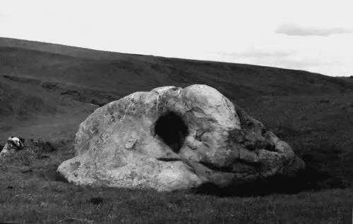 В любом случае Цыганский Камень Куликова Поля уникальный памятник - фото 60