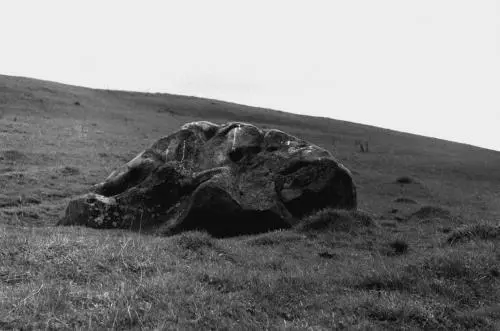 В любом случае Цыганский Камень Куликова Поля уникальный памятник - фото 61