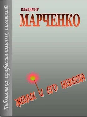 Владимир Жених и его невеста обложка книги