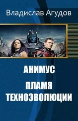Владислав Агудов - Анимус. Пламя техноэволюции