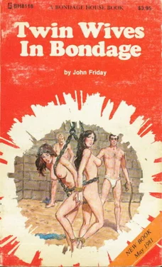 John Friday Twin wives in bondage обложка книги