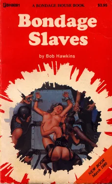 Bob Hawkins Bondage slaves обложка книги