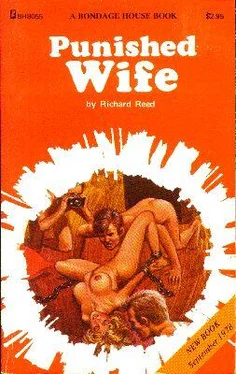 Richard Reed Punished wife обложка книги