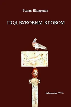 Роман Шмараков ПОД БУКОВЫМ КРОВОМ обложка книги