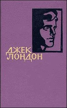 Джек Лондон Мужская верность обложка книги