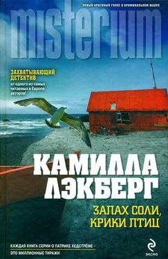 Камилла Лэкберг Запах соли, крики птиц обложка книги