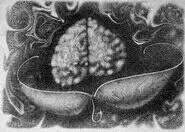 стал медитировать вместе с ними Каждый вечер я умолял их поговорить со мной - фото 31