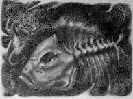 Ставь на кон всё ради Любви Руми О РИСКЕ Для пресноводной рыбы - фото 37