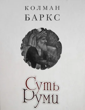 Колман Баркс Суть Руми обложка книги