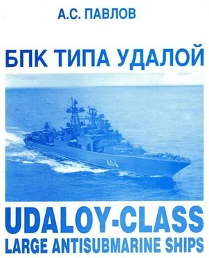 Александр Павлов БПК ТИПА УДАЛОЙ обложка книги