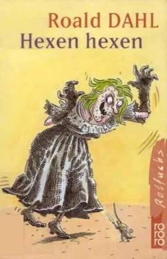 Roald Dahl Hexen hexen обложка книги