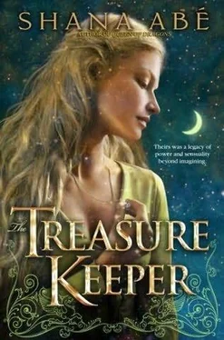 Shana Abe The Treasure Keeper обложка книги