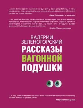 Валерий Зеленогорский Рассказы вагонной подушки обложка книги